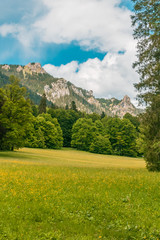 Fototapeta premium Beautiful view near castle Linderhof-Bavaria-Germany