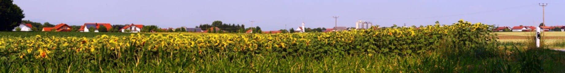 Beautiful view near Ettling-Bavaria-Germany