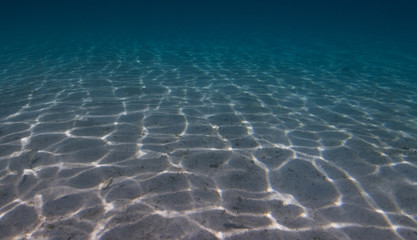 sunlight underwater