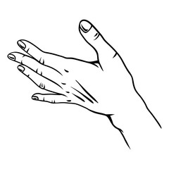 Illustration of human hand.