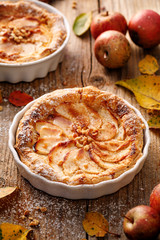 Apple tart with the addition of cinnamon sprinkled with powdered sugar on a wooden table. A delicious homemade dessert