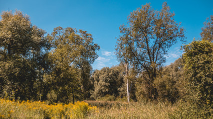 Beautiful view near the Isar mouth - Plattling - Bavaria - Germany
