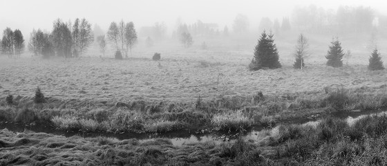 Landscape in Schwarzwassetal in german Ore mountains in foggy morning on 20th october 2018