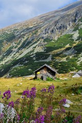 Musala, masyw rila, bulgaria