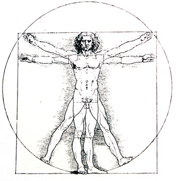 Vetruvian human, Measures of Human body by Leonardo da Vinci, illustrated in a vintage book,  Leonard de Vinci, Eugene Muntz, 1899, Paris