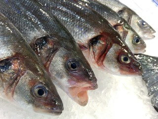 Frischer Fisch auf dem Fischmarkt