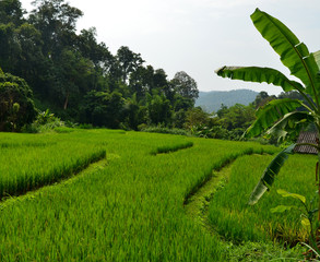 Maisons locales au village de Long Neck, Thaïlande du Nord