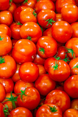 ripe tomatoes on the store shelf