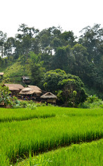 Maisons locales au village de Long Neck, Thaïlande du Nord