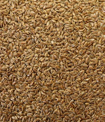 Organic Linseed or Flaxseed (Linum usitatissimum) isolated on white background.