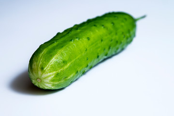 ripe cucumber on white background