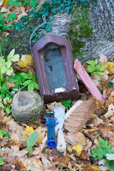 Obraz premium Nesting box, nest (blue tit) and tools for nesting box cleaning on forest floor