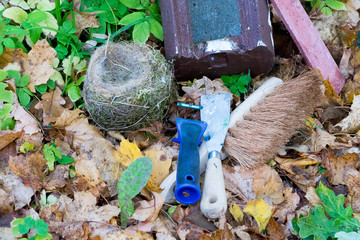 Nesting box, nest (blue tit) and tools for nesting box cleaning on forest floor