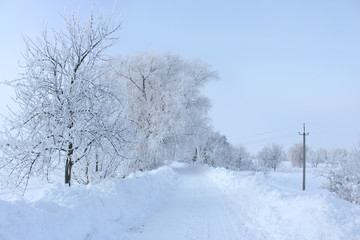 Fototapeta premium Empty snowy road in winter