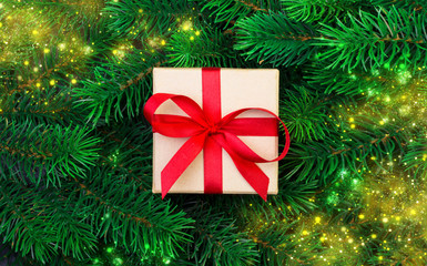 Christmas tree branch and gift