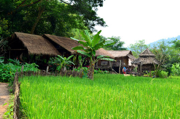 Fototapeta na wymiar Maisons locales au village de Long Neck, Thaïlande du Nord