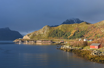 Rorbuer close to Leknes at the coast, Lofoten, Norway