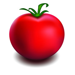 Tomato vector file