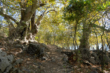 Kovada Lake National Park - Isparta
