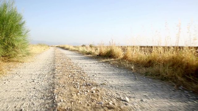 vereda de Val de Santo Domingo between Maqueda and Escalona, province of Toledo, Spain