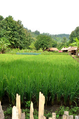 Maisons locales au village de Long Neck, Thaïlande du Nord