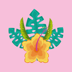 tropical natural leaves