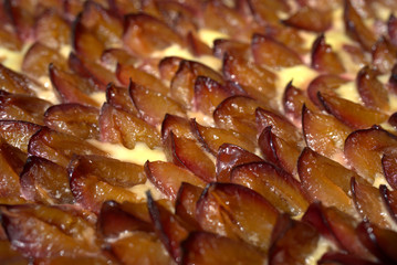 frischer Pflaumenkuchen