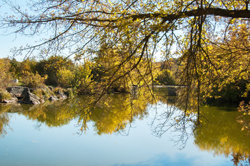Fototapeta premium Pond in autumn, yellow leaves