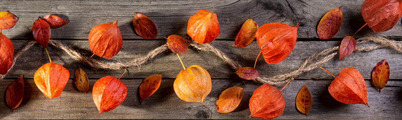 Physalis on gray boards, background, texture