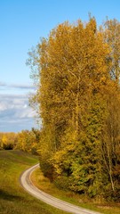 Obraz premium Beautiful view near Neutiefenweg-Bavaria-Germany