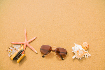 Fototapeta na wymiar background sunglasses starfish on the beach sand