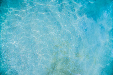 the background is a surface of sea water