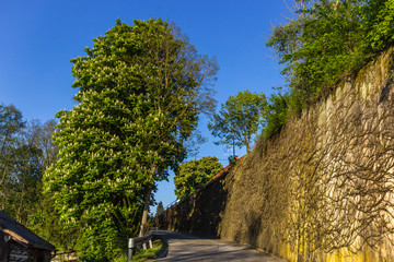 Beautiful view near Niederpoering-Isar-Bavaria-Germany