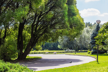 view of the Park with walking paths