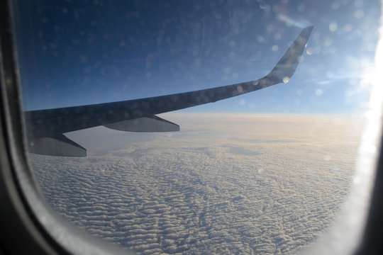 Wing of an airplane from a window in the sky