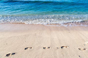 Footprints on a sandy Caribbean  beach, with the sea behind, on a sunny morning