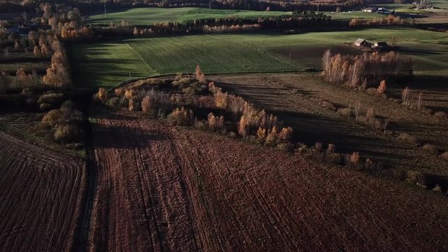 field crop land landscape farm road path countryside autumn colors trees
