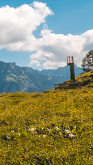 Smartphone HD wallpaper of alpine view at Achensee