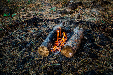 The fire burns out. Camping in the forest