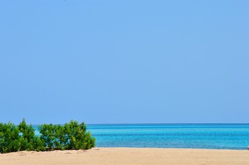  paradise