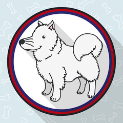 Button with Samoyed Dog in Flat Style and Long Shadow, Vector Illustration