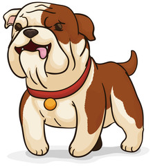 Cute English Bulldog like a Guardian Dog, Vector Illustration