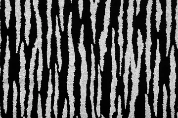 Poster Black fabric with metallic zebra pattern © Studio Light & Shade