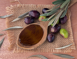 Presentación del aceite de olivas con aceitunas y hojas