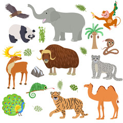Asian animal vector animalistic wild character tiger camel panda in Asia wildlife illustration set of mammal buffalo elephant cobra isolated on white background © creativeteam