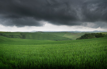 Obraz premium Tuscany, Crete Senesi rural sunset landscape. Countryside farm, cypresses trees, green field, sun light and cloud. Italy, Europe.