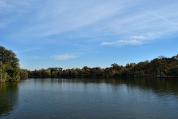 Autumn colors in the park