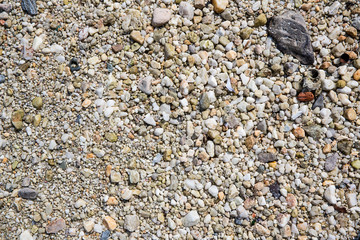 Sea pebbles. Small stones gravel texture background. Pebble stones background. Sea stone, Close up...