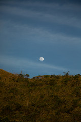 moon over field
