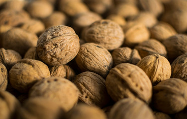 Fresh walnuts in shell. Selective focus
